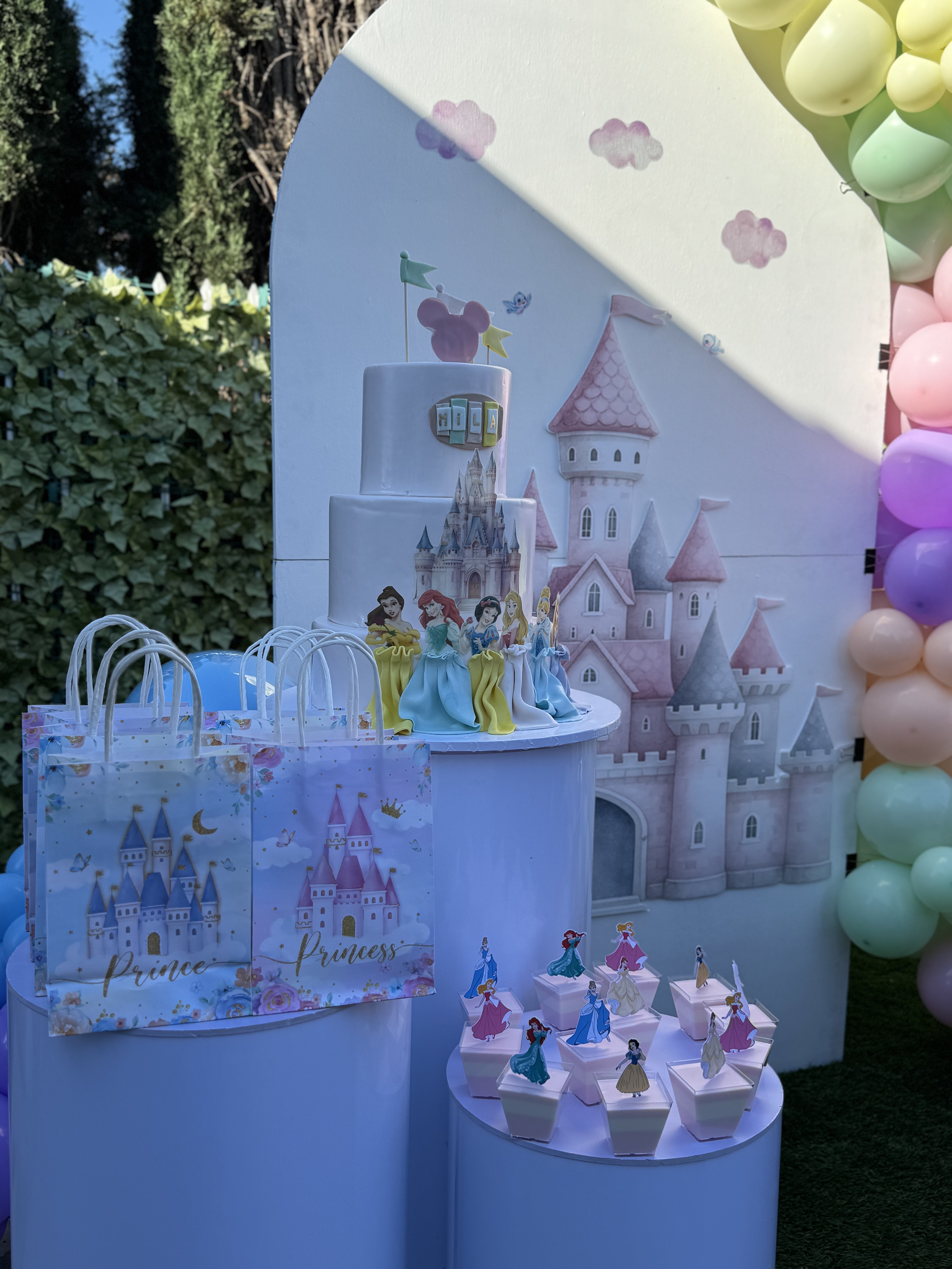 🎂Custom Cakes & Cake Decorating Parties